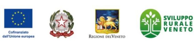 Design ohne Titel - 1