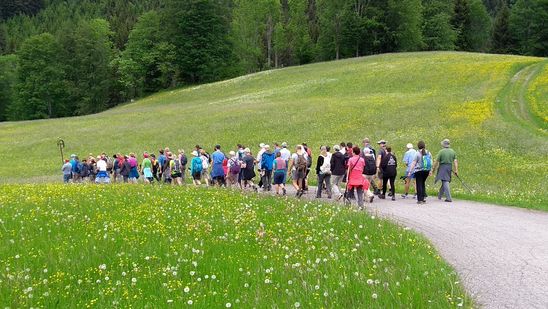 © Pfarrmedien Österreich